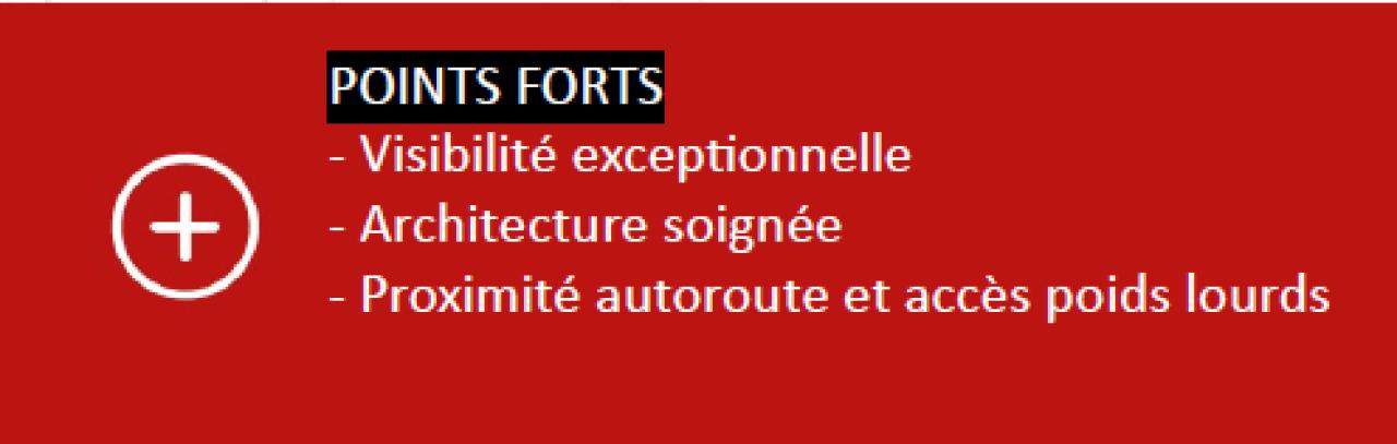 Local d'activité Péronnas 2308m² Vente local d'activité Péronnas Ain OVACT2311989 9